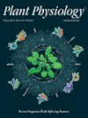 PLANT PHYSIOLOGY杂志封面